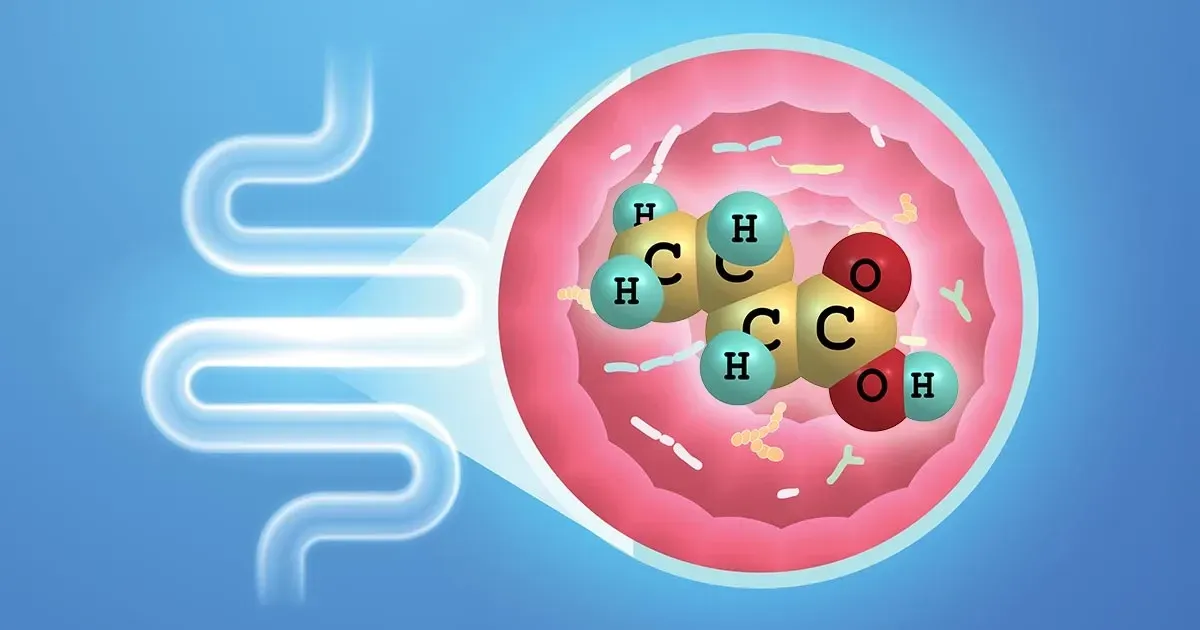 البوتيرات – محرك الأيض اللي يغذي الأمعاء وأكثر
