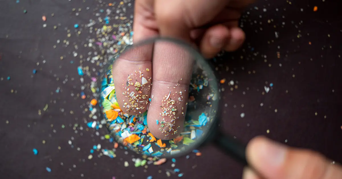 كيف تتجمع الجسيمات البلاستيكية الدقيقة في المخ وبقية الأعضاء