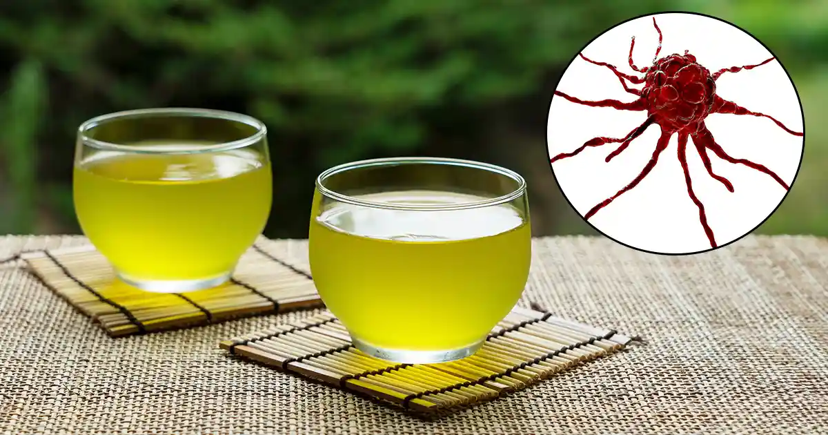 الشاي الأخضر يعطي أمل جديد ضد السرطان