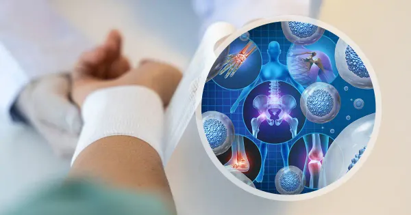 كيف تساعِد خلايا الشيخوخة أو تعيق عملية الالتئام