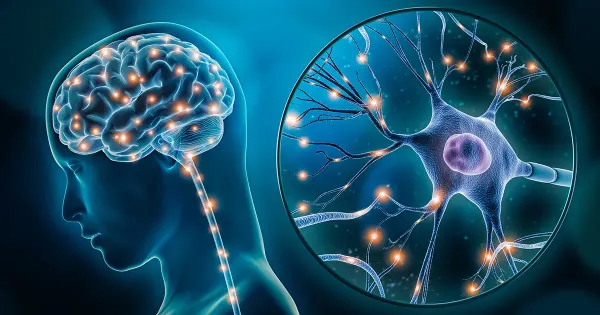 الذاكرة ما تنحصر فالمخ بروحه