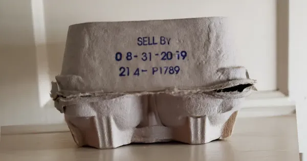 شلون تفك شفرة علبة البيض