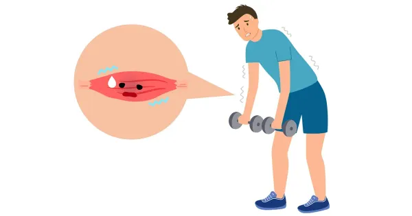 الأكلات المصنعه وايد تخرب على صحة عضلاتك